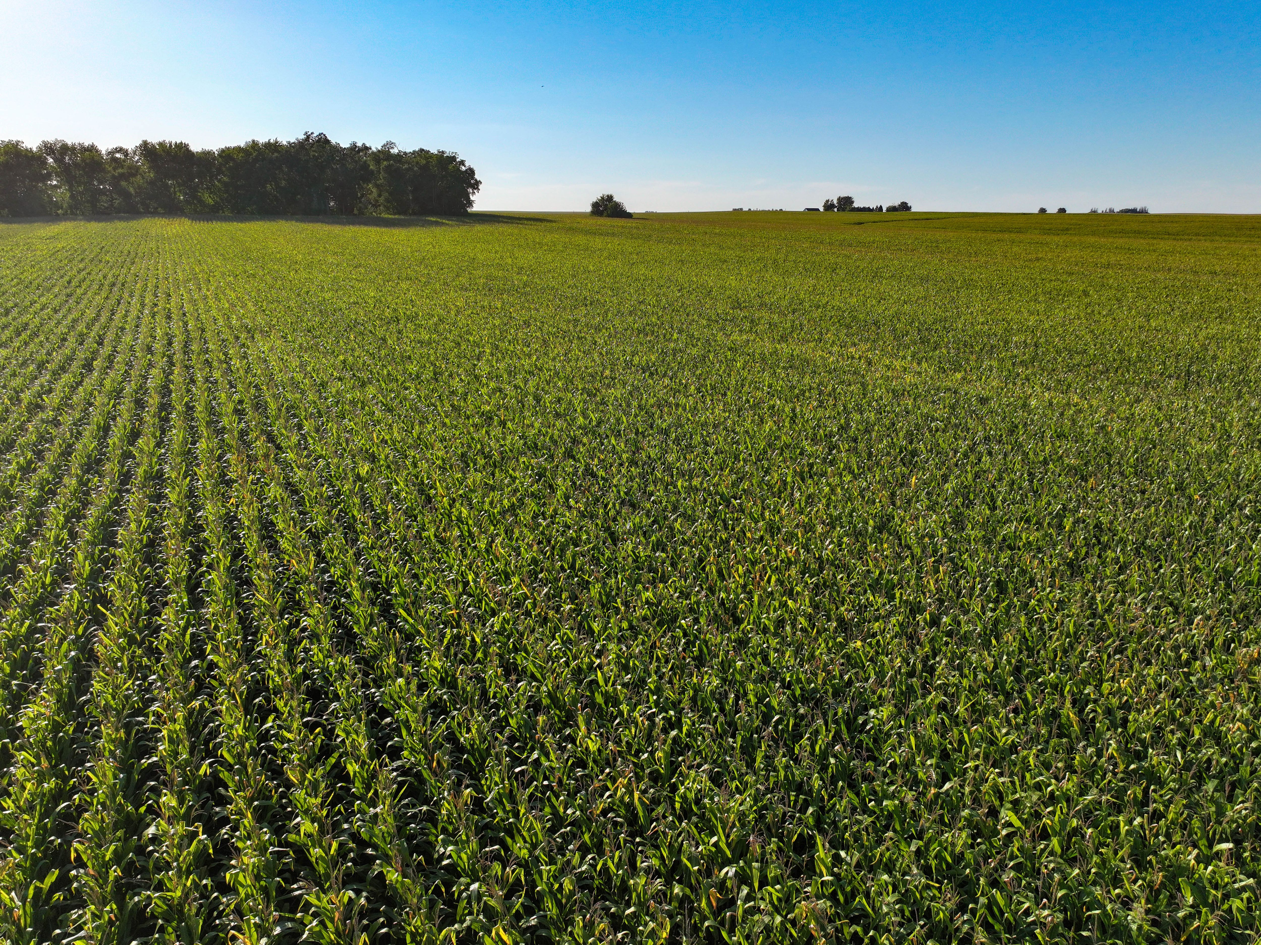 Listing Photo: 14-Fayette Co IA Land Available